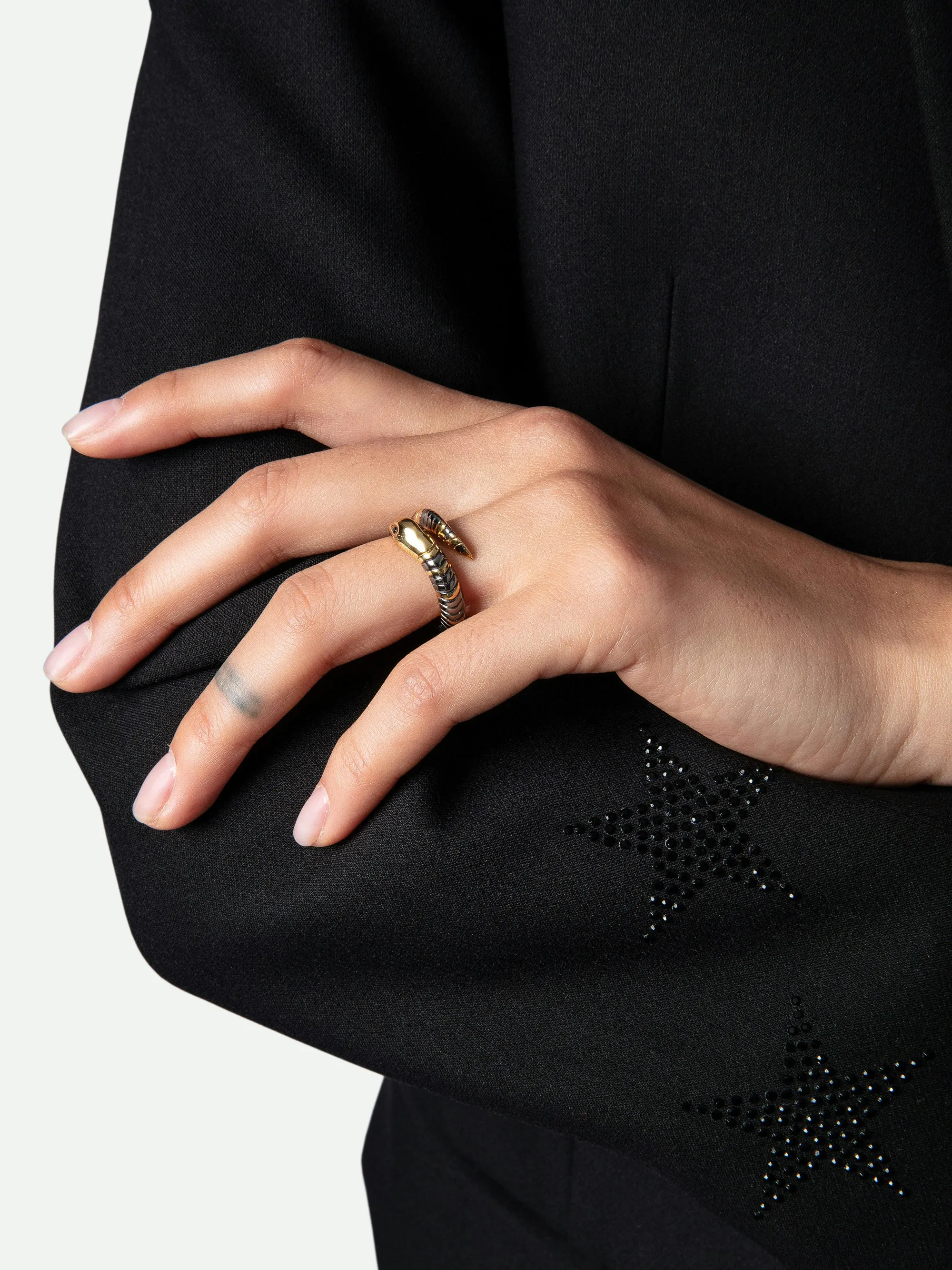 Anillo Snake