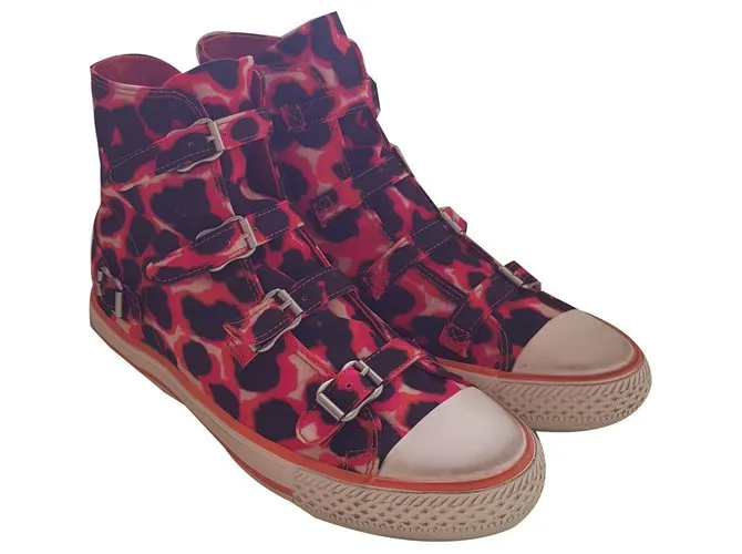 Ash Zapatillas Multicolor 