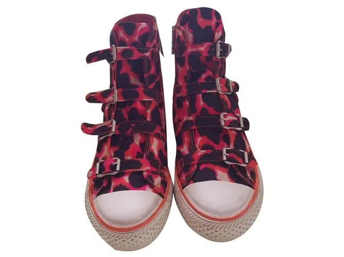 Ash Zapatillas Multicolor 