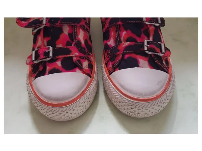 Ash Zapatillas Multicolor 