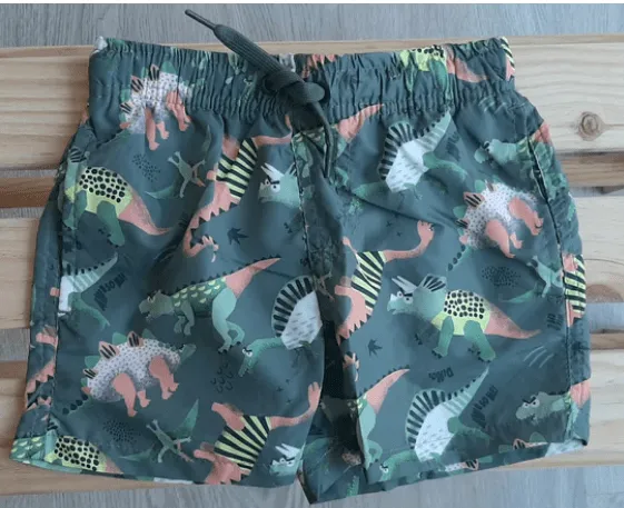 Bañador Dinosaurios Niño Losan