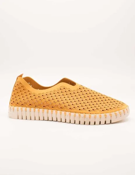DEPORTIVO ILSE JACOBSEN TULIP3275849 GOLDEN NUGGE DE MUJER