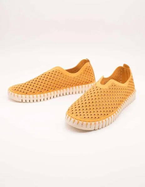 DEPORTIVO ILSE JACOBSEN TULIP3275849 GOLDEN NUGGE DE MUJER
