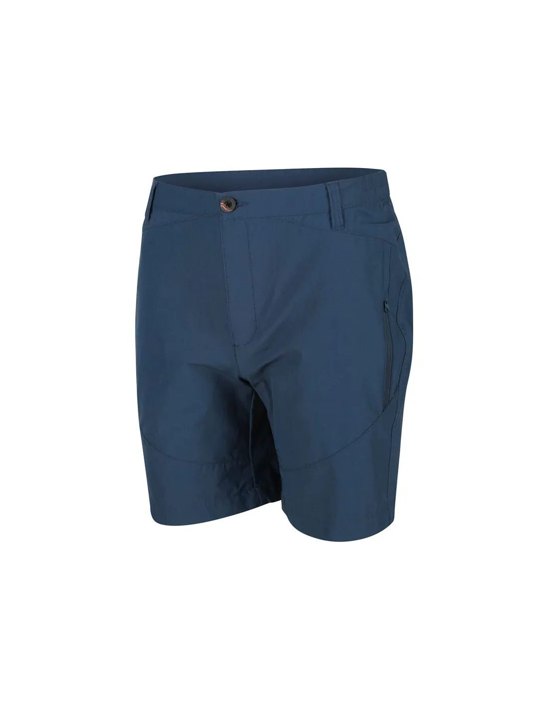 Pantalones de Montaña Regatta Regatta Highton Hombre