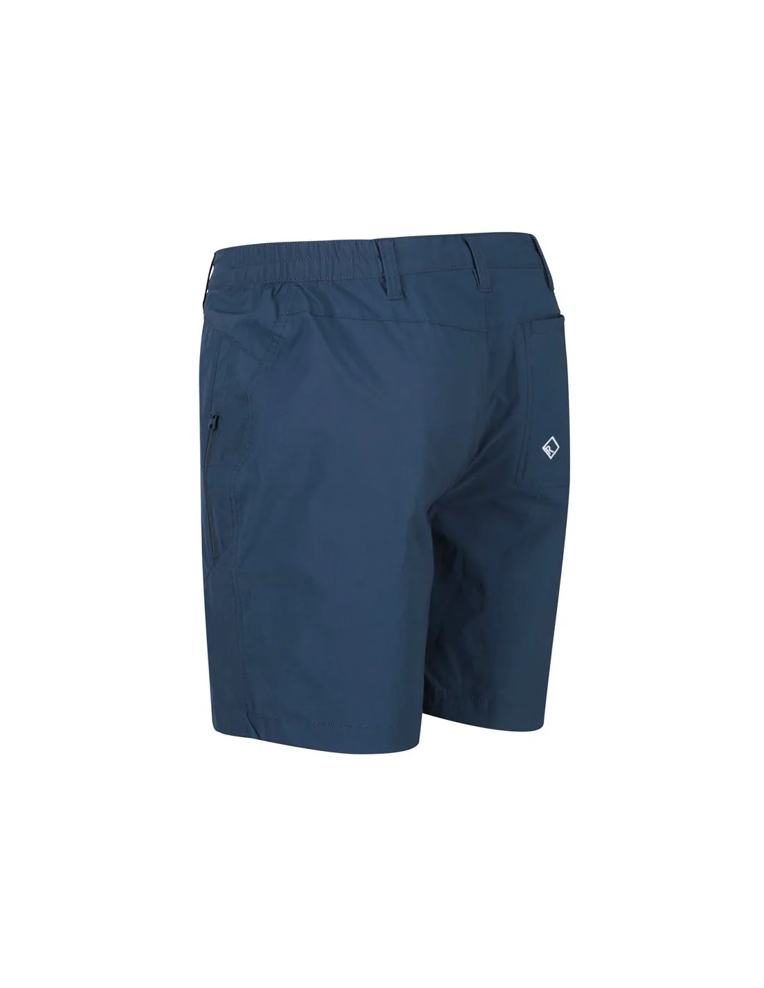 Pantalones de Montaña Regatta Regatta Highton Hombre