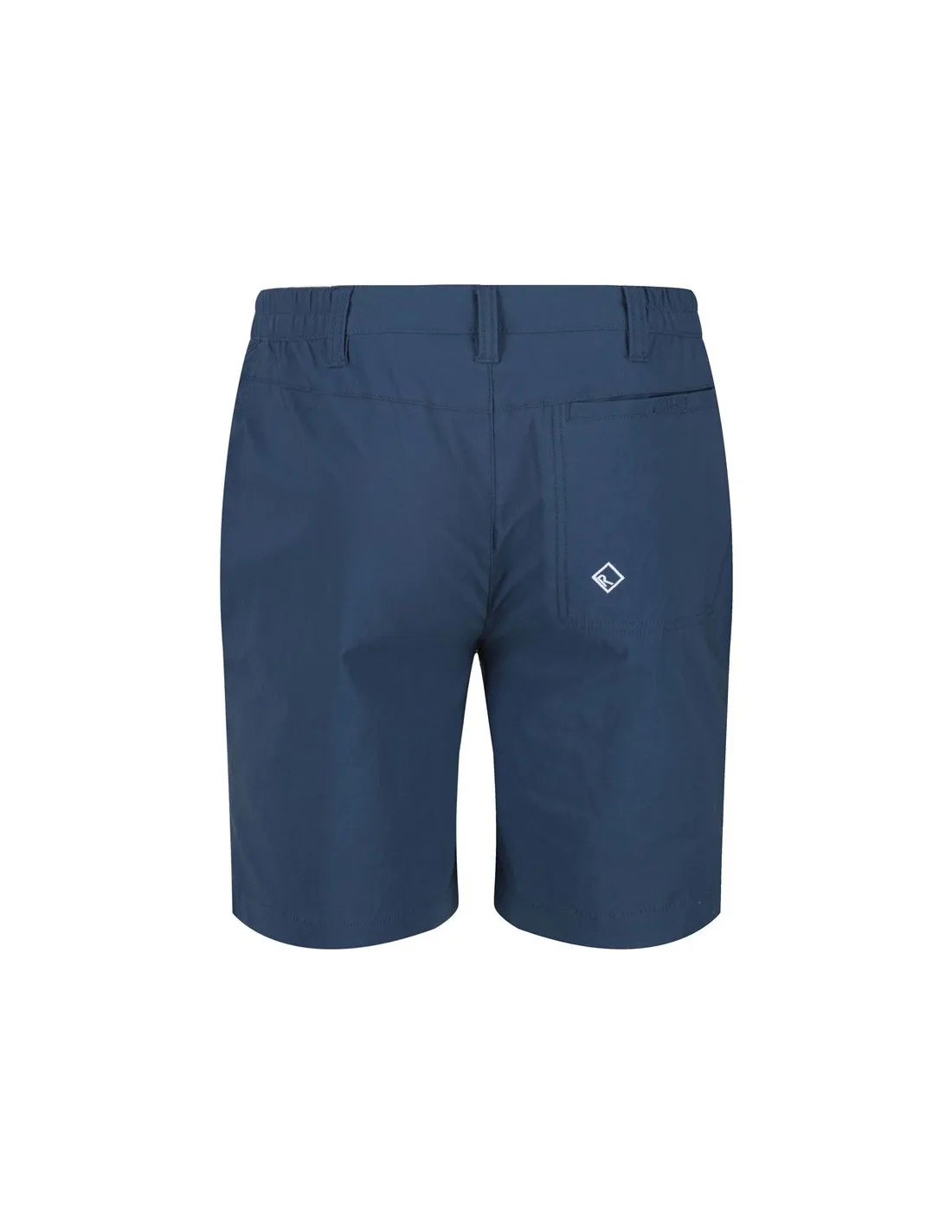 Pantalones de Montaña Regatta Regatta Highton Hombre