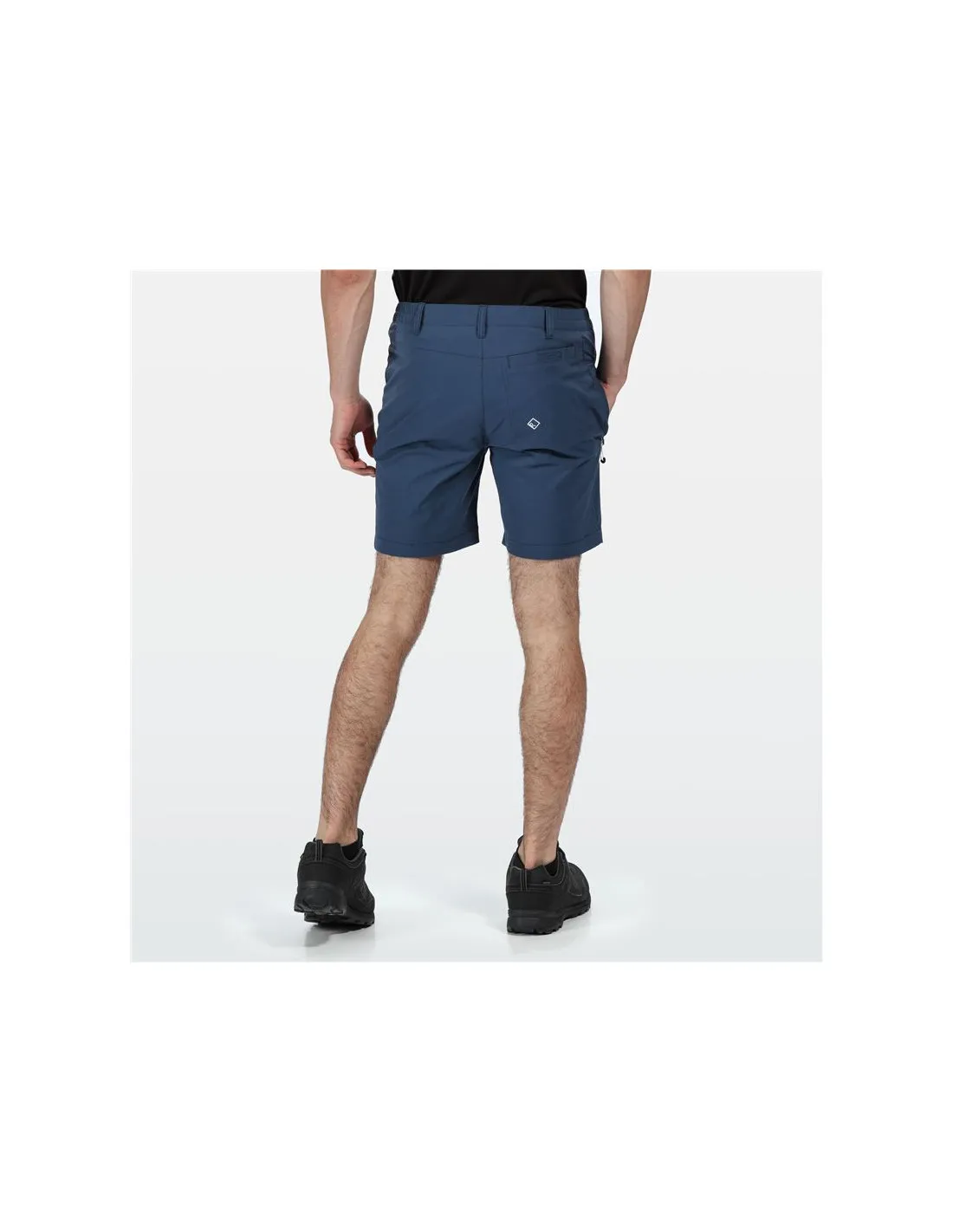 Pantalones de Montaña Regatta Regatta Highton Hombre