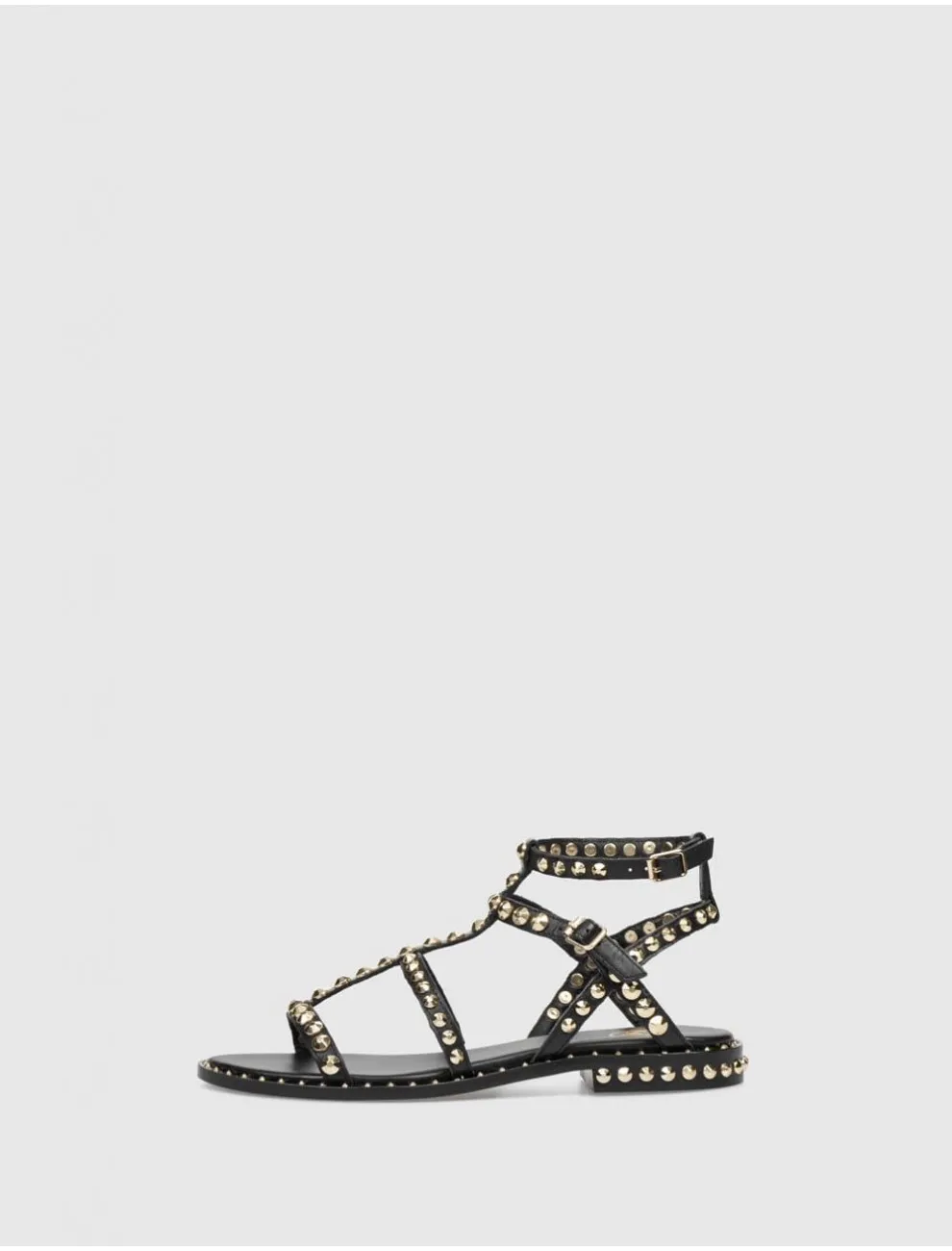 Sandalia Romana Ash Precious Negro