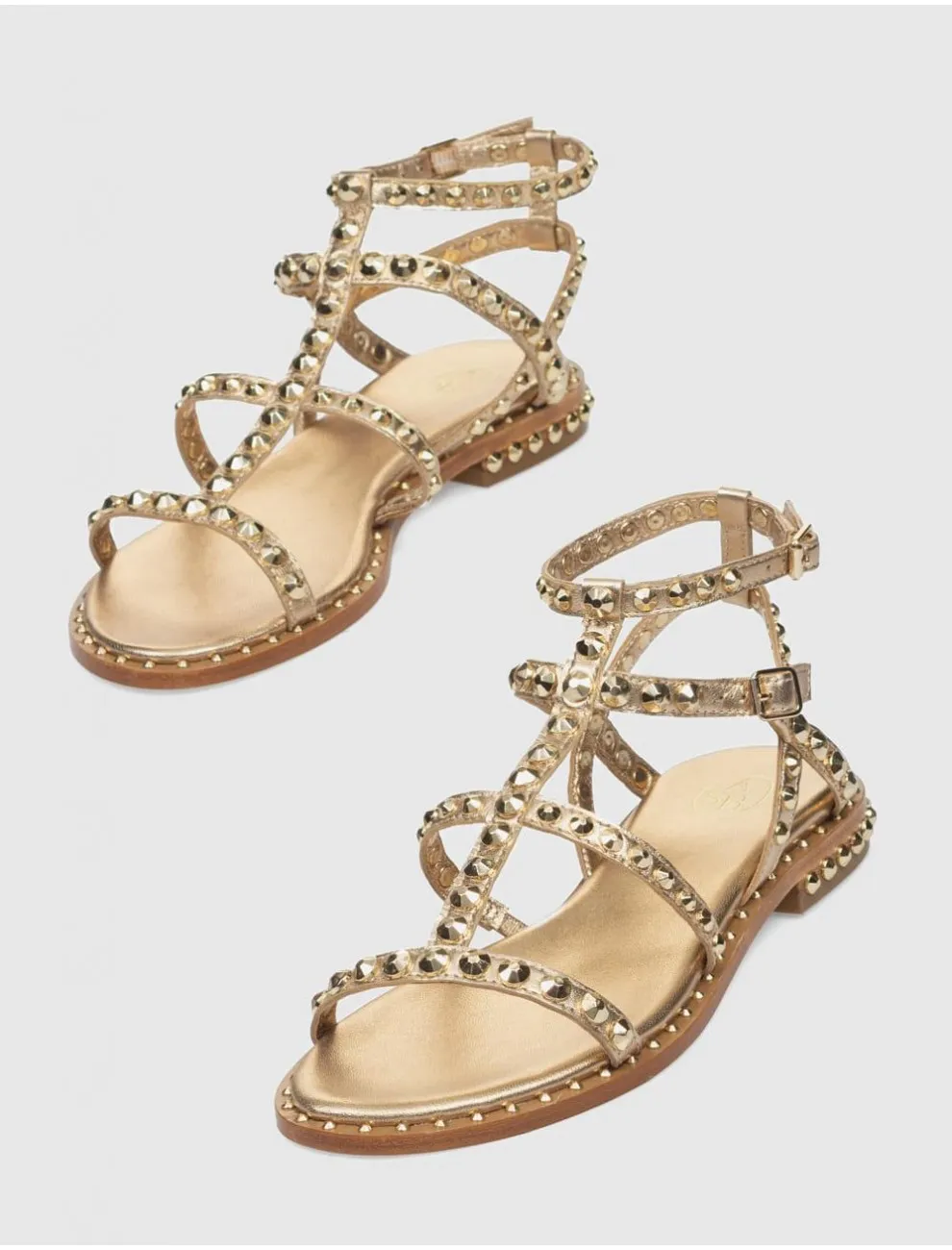 Sandalia Romana Ash Precious Platino