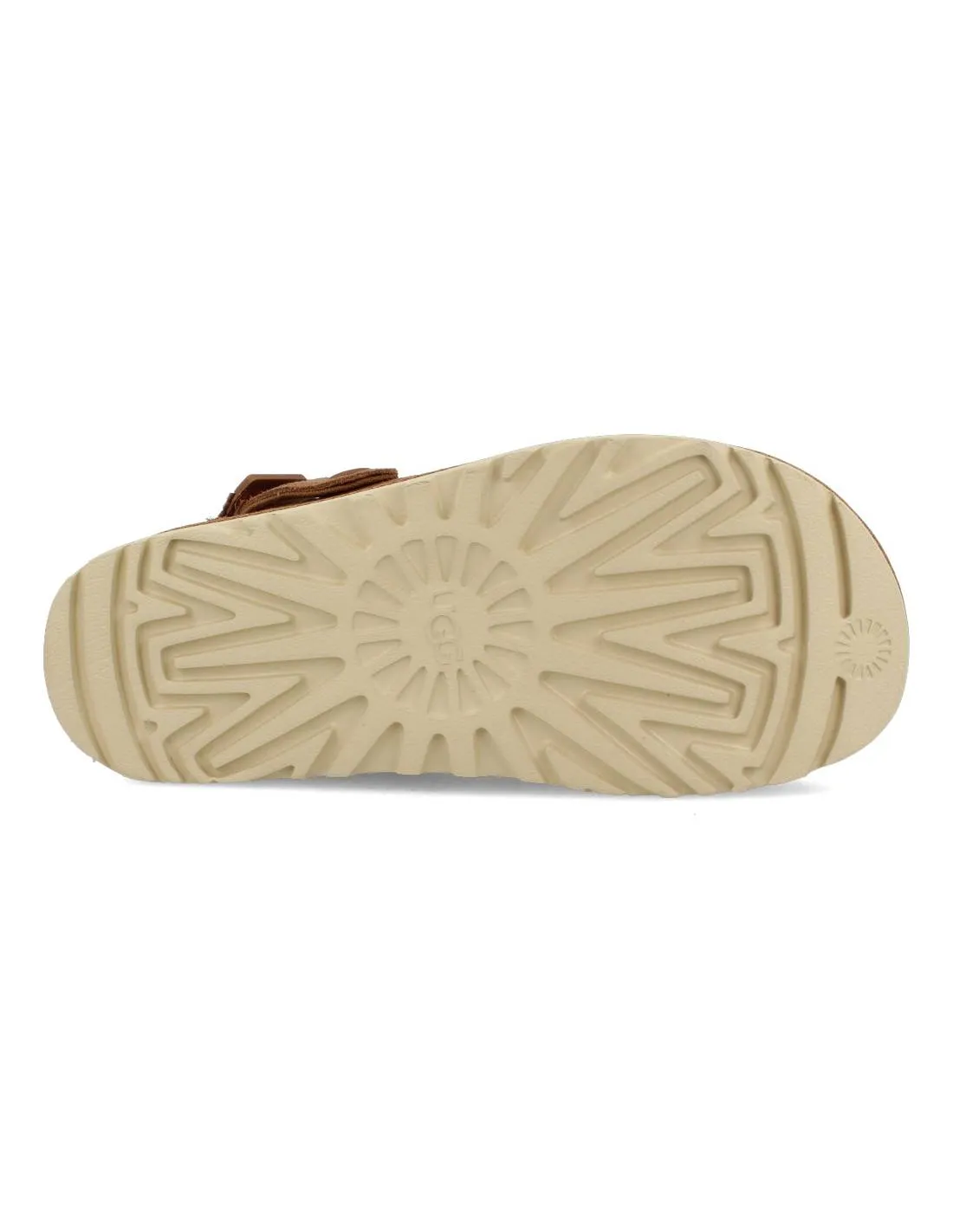 UGG  ZUECO PLATAFORMA GOLDENSTAR CHESTNUT