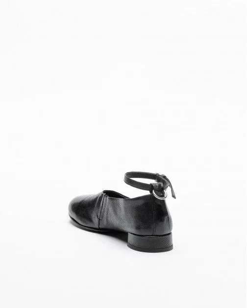 Zapatos Ernesto Dolani 6DGAL01 Negro